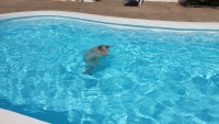 Bianka unter Wasser.